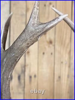 Real Deer Antlers Beer Tap Handle Pair Of 2 Antler Hunting Rifle Bow Jackalope