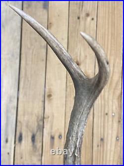 Real Deer Antlers Beer Tap Handle Pair Of 2 Antler Hunting Rifle Bow Jackalope